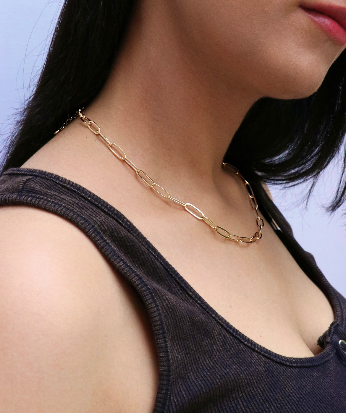 Classic Paperclip Chain