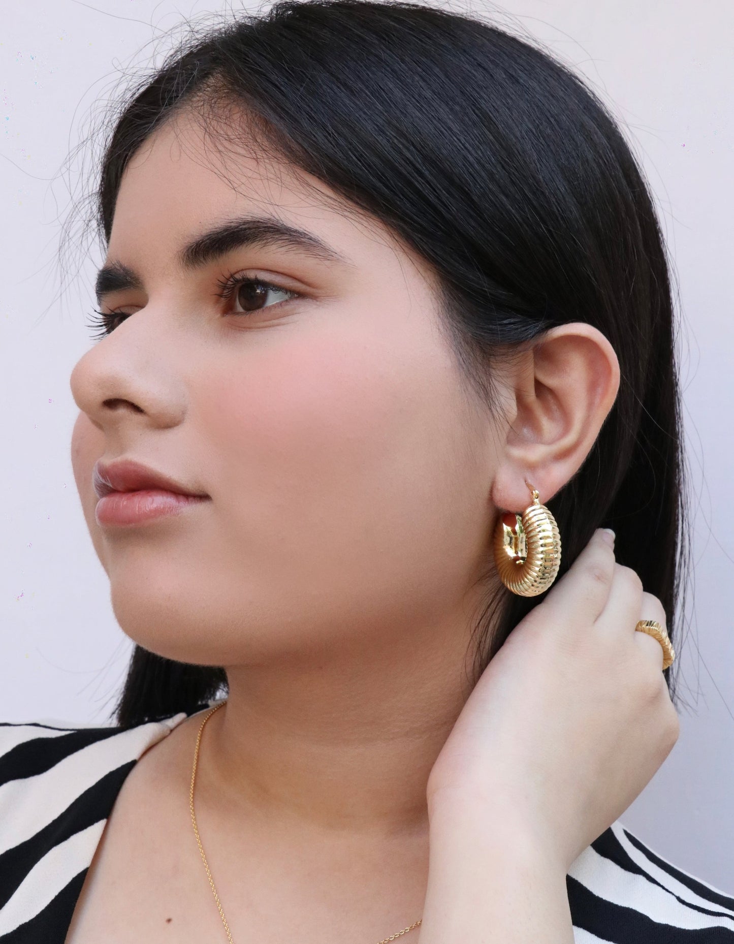 Chunky Shrimp Hoops