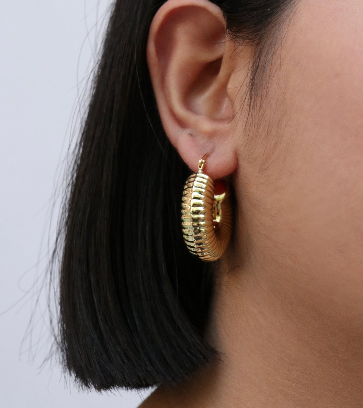 Chunky Shrimp Hoops