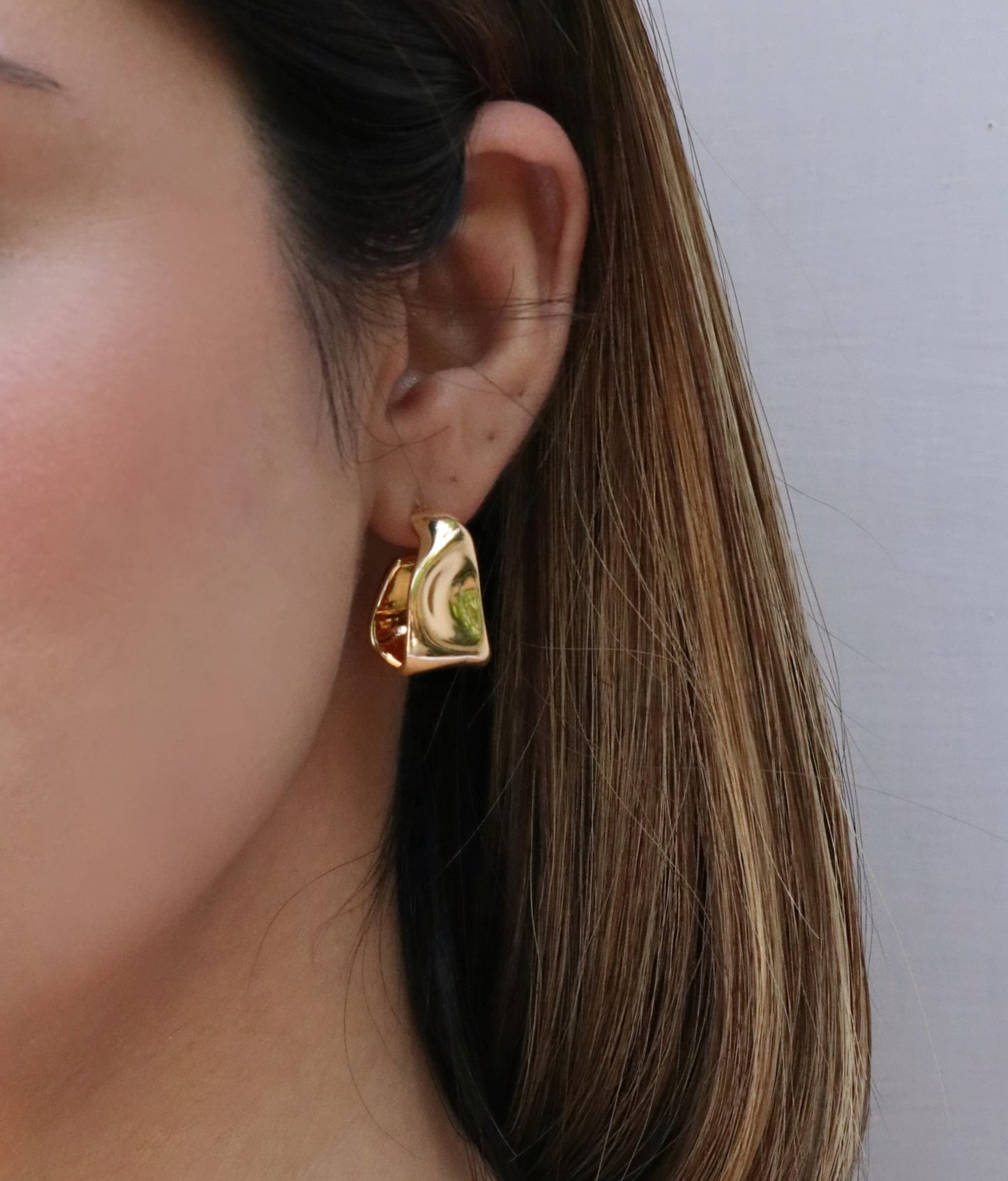 Sculpted Earrings