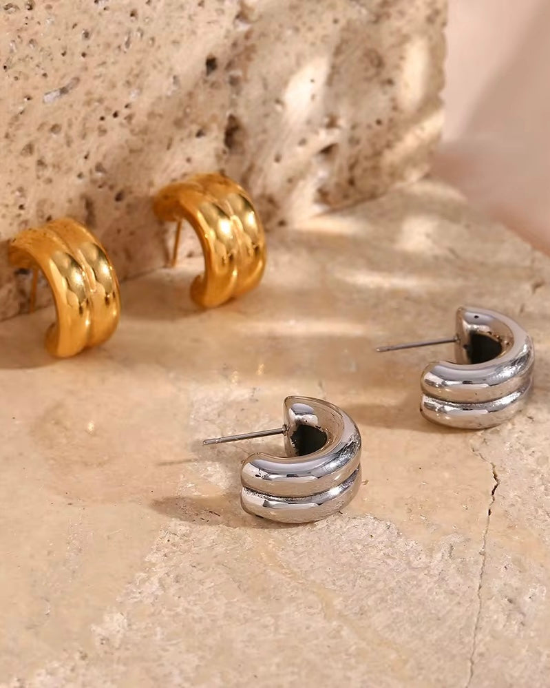 Tiny Twin Earrings