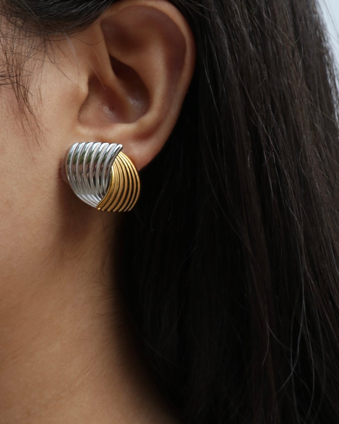 Fusion Earrings (Dual Tone)