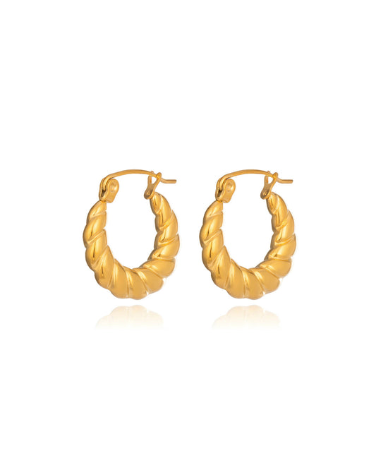 Mini Twist Hoops
