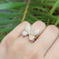 Flutter Ring