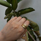 Faye Ring