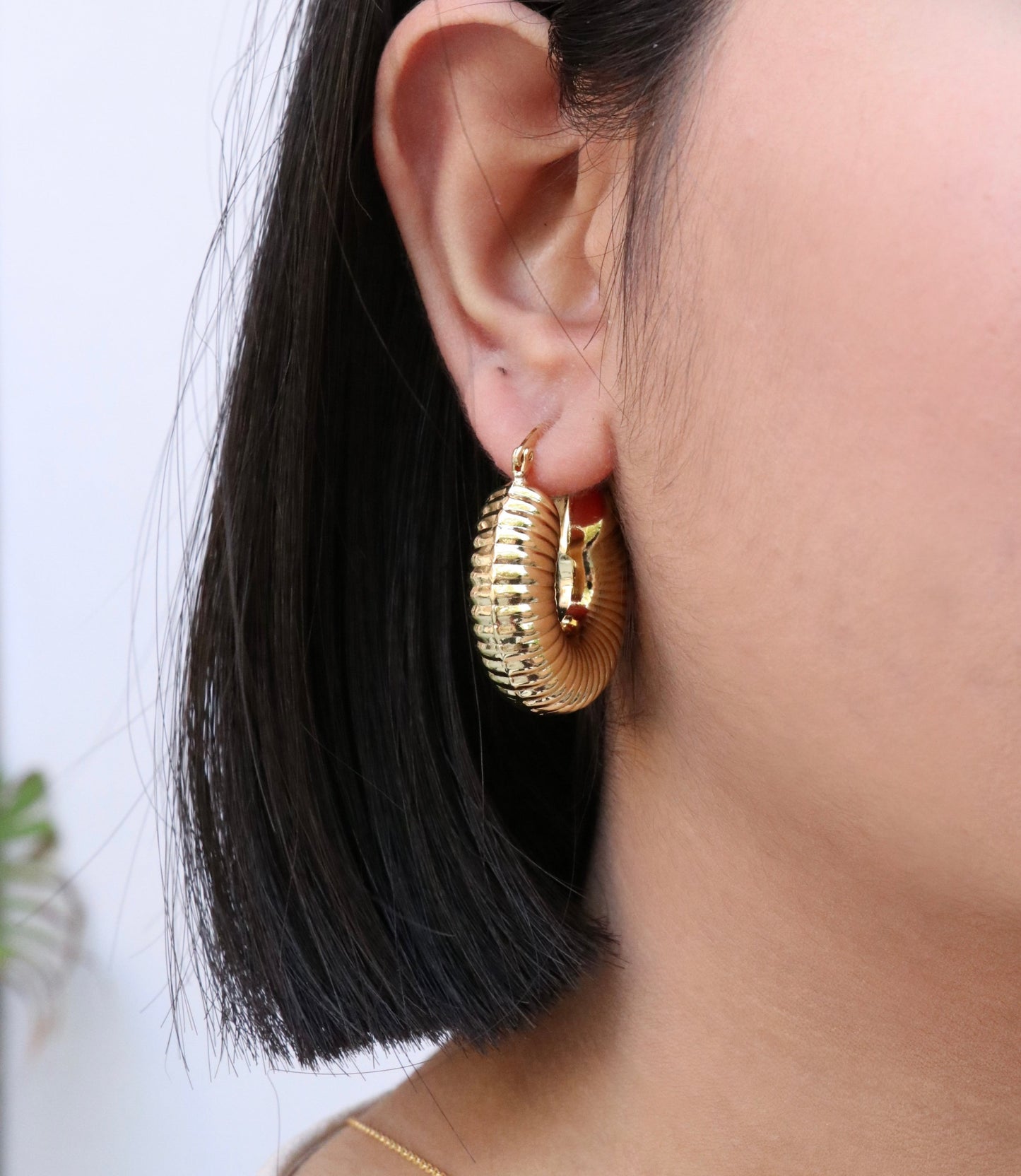 Chunky Shrimp Hoops
