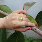 Embrace Ring