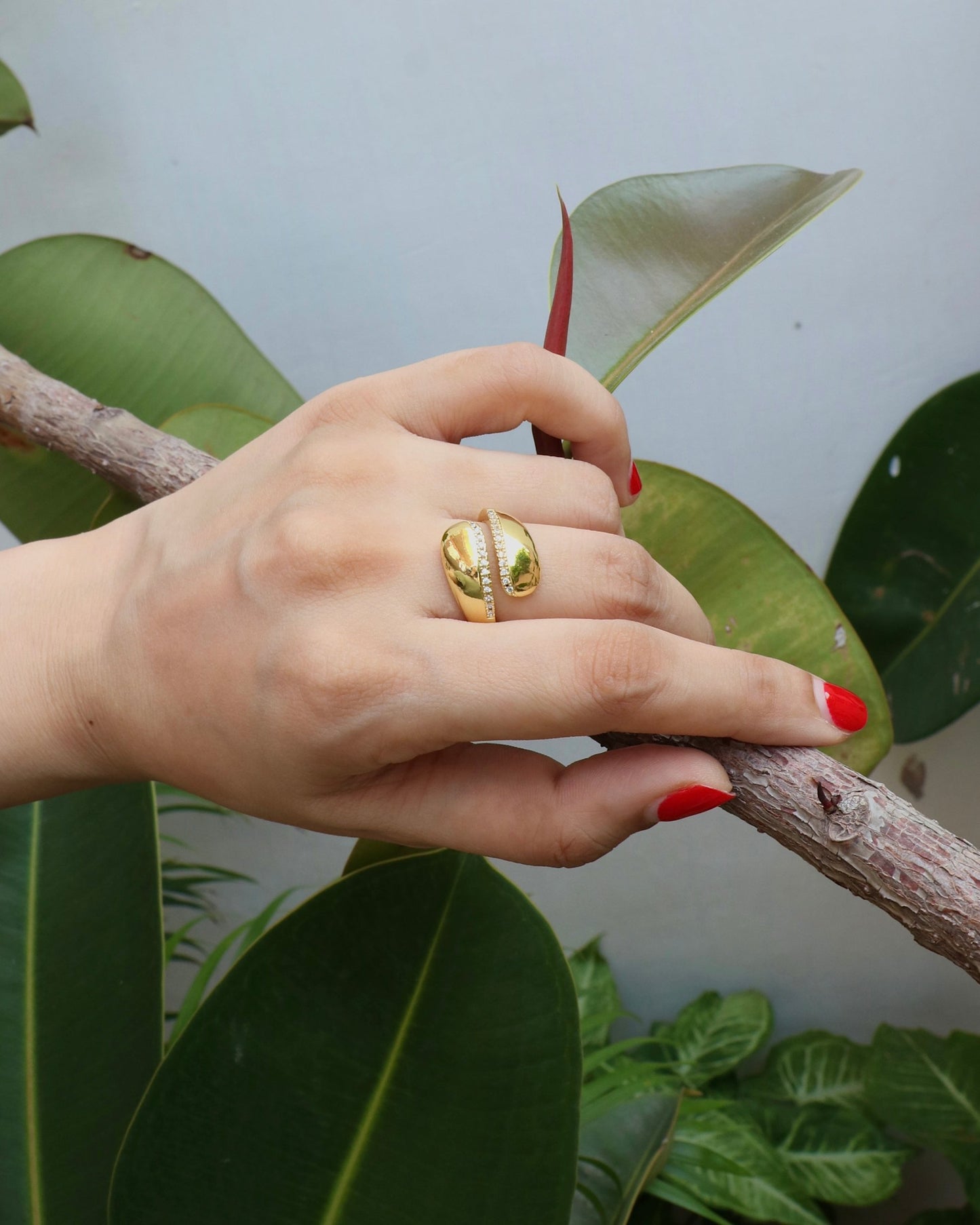 Embrace Ring
