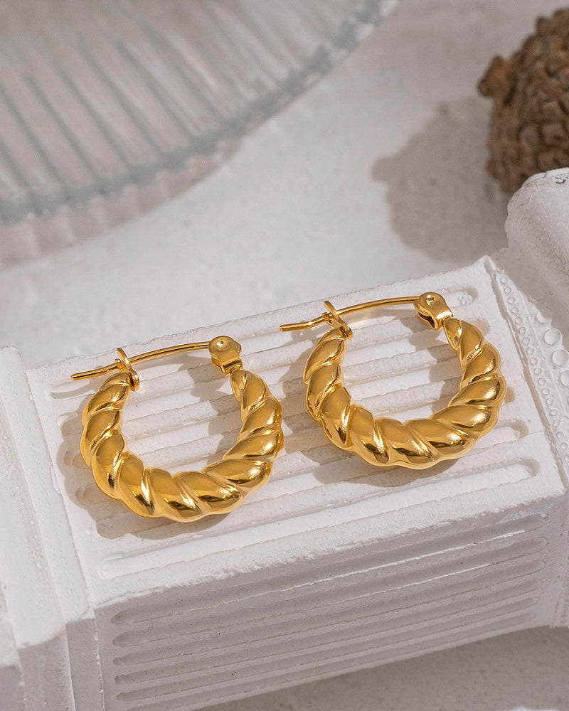 Mini Twist Hoops