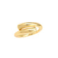 Interlace Ring
