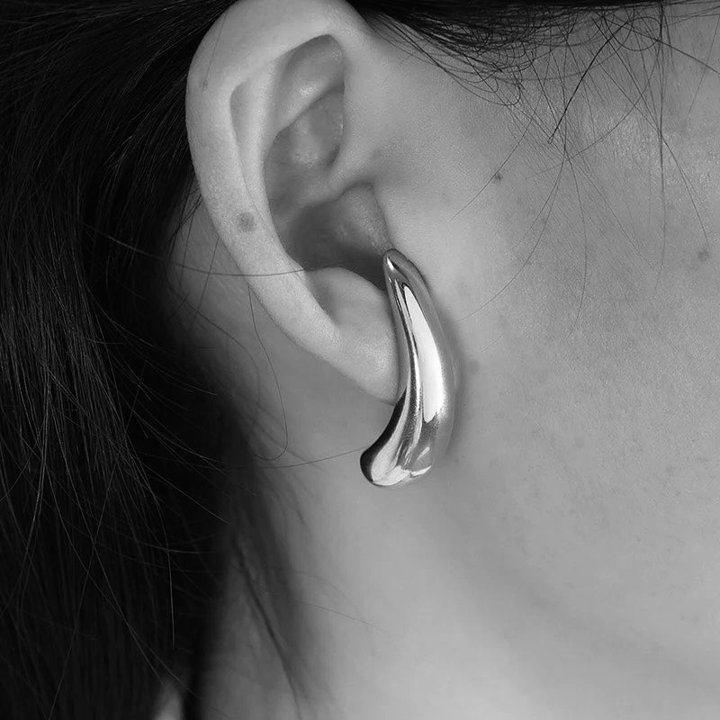 Dolphin Earrings