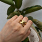 Imagination Ring