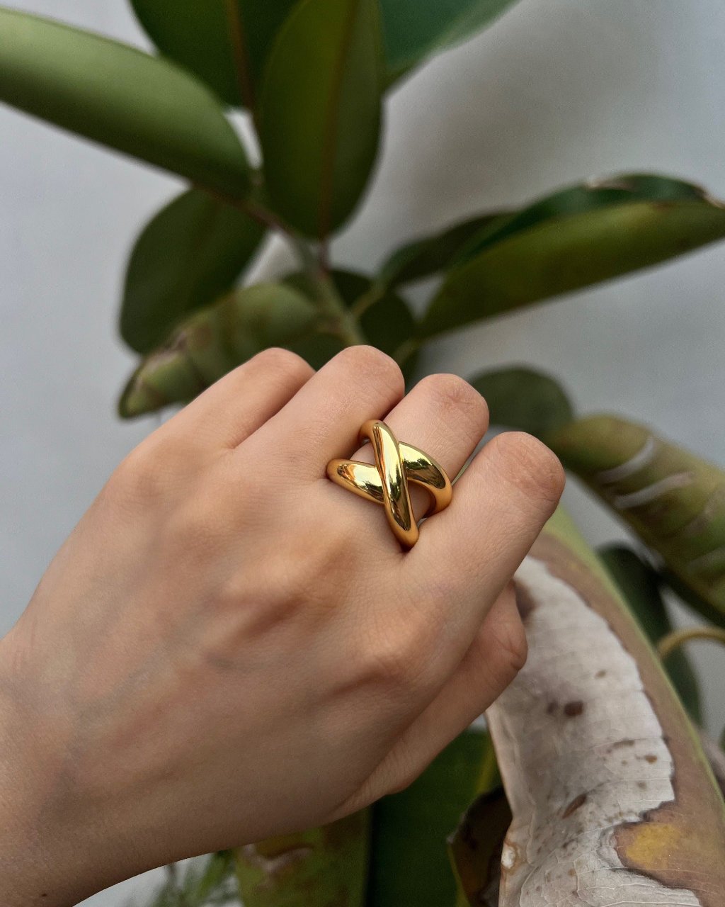 Imagination Ring
