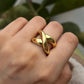 Imagination Ring