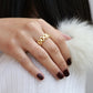 Chain Ring