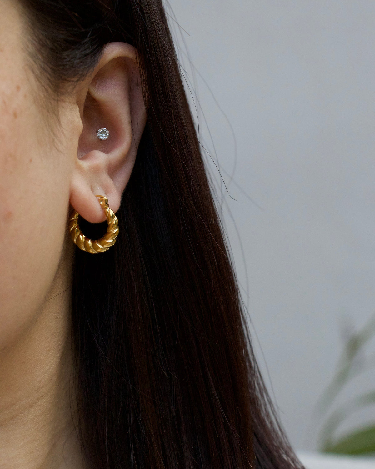 Mini Twist Hoops