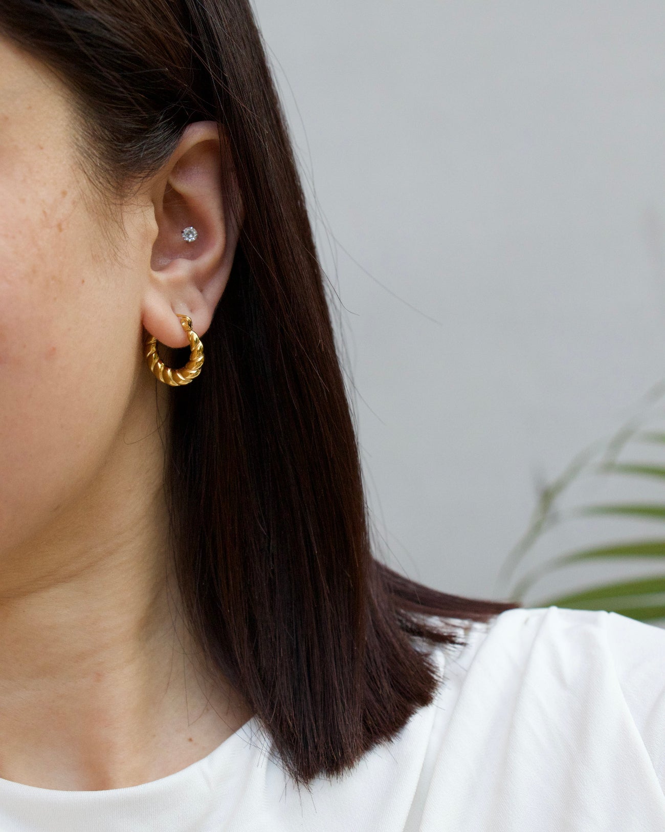 Mini Twist Hoops