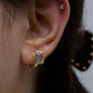 Mini Prism Hoops